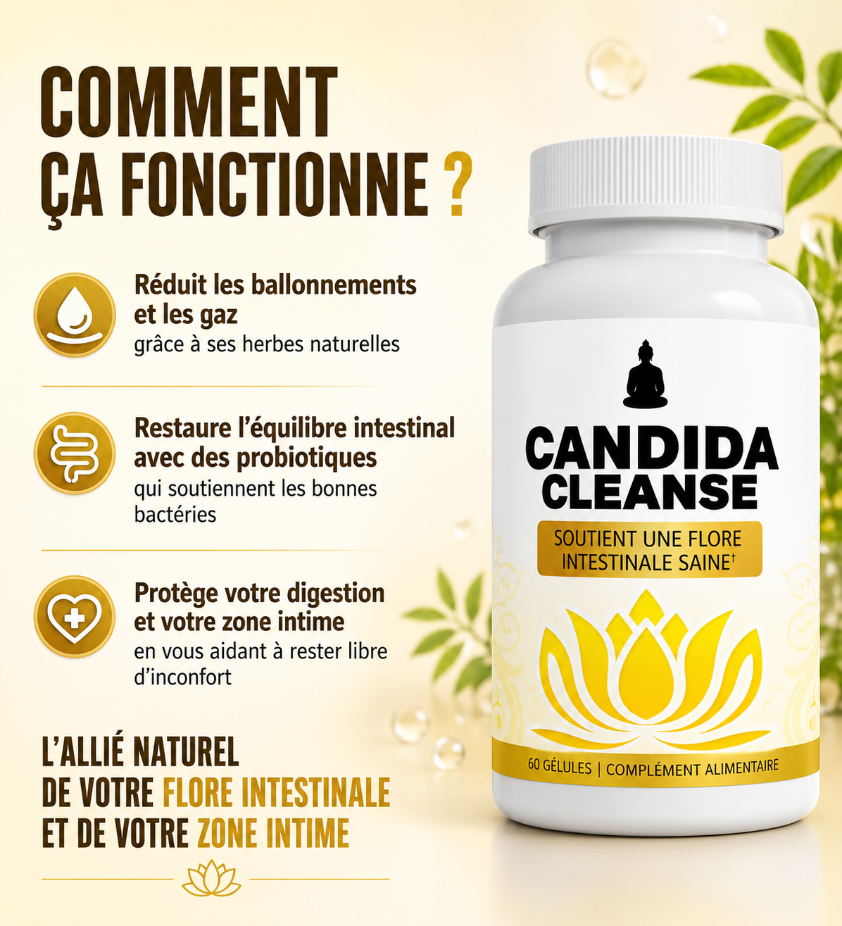 Candida Cleanse – Réduit les ballonnements et améliore la digestion