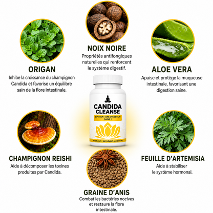 Candida Cleanse – Réduit les ballonnements et améliore la digestion