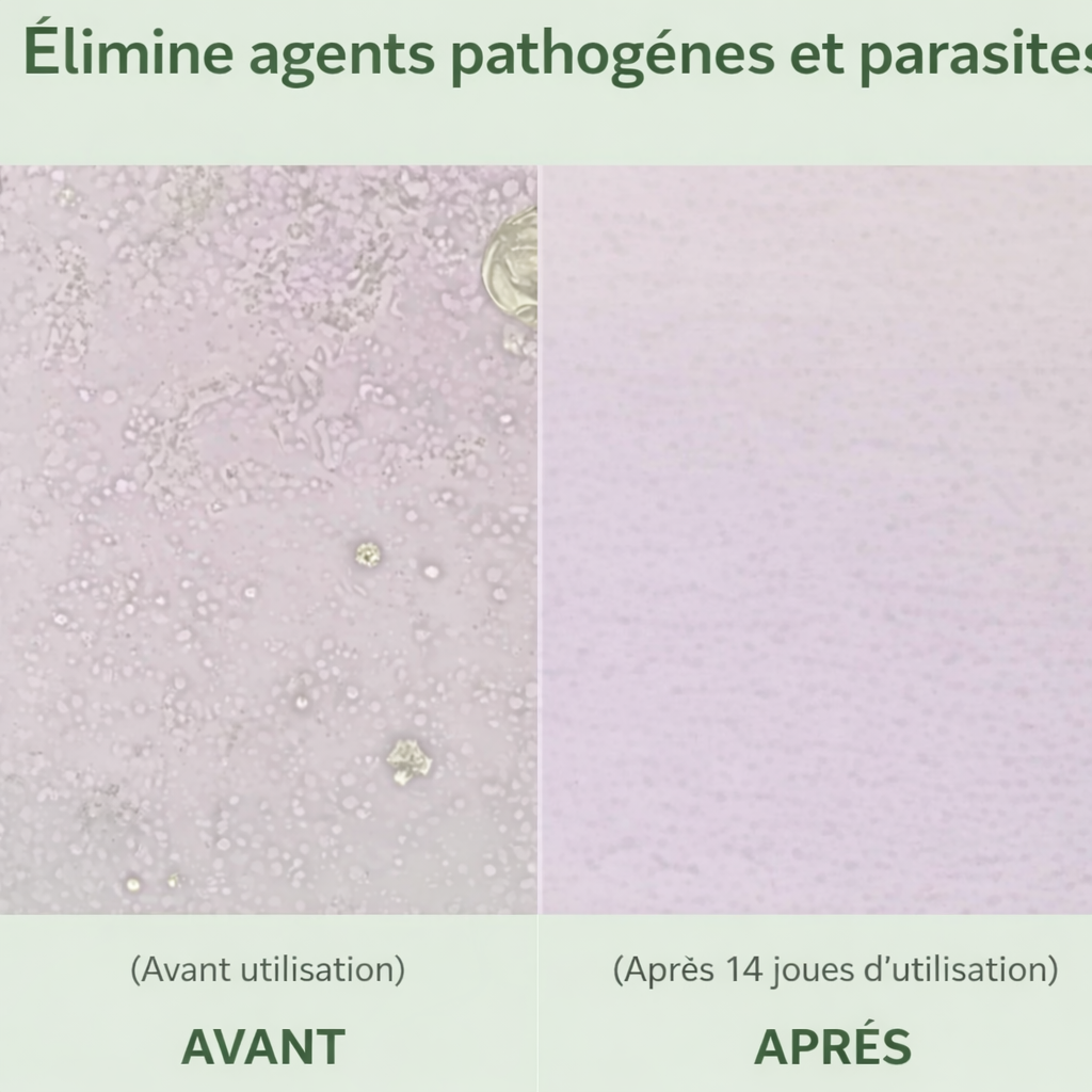 Origamix – Transforme ta journée avec une énergie intelligente