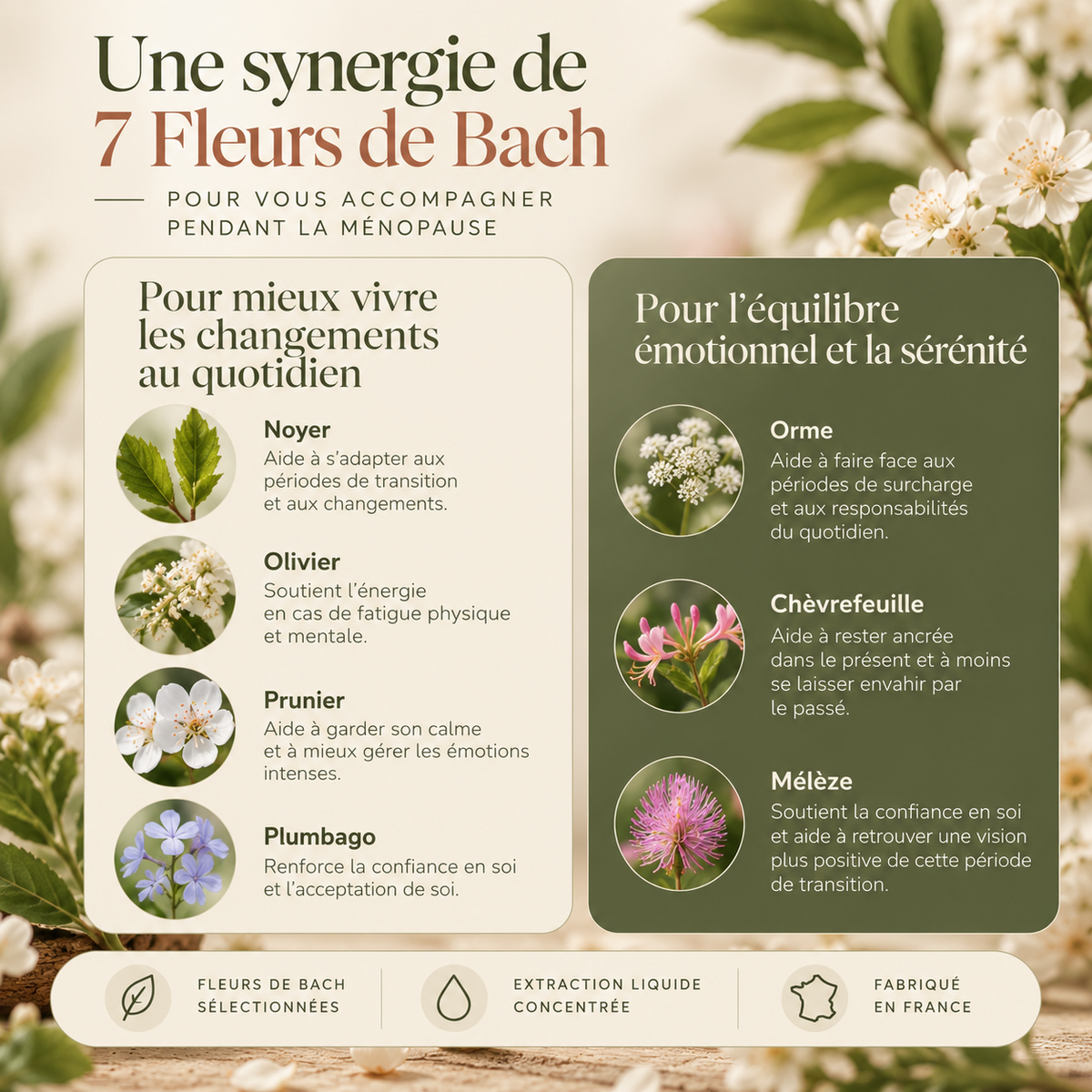 Équilibre Ménopause® – Élixir de Fleurs de Bach