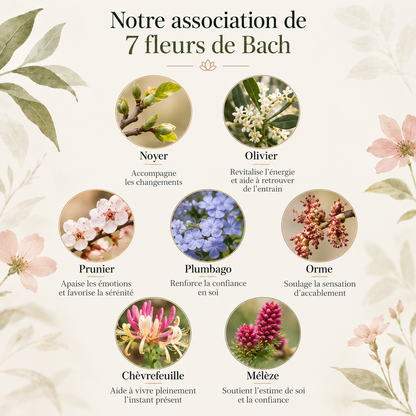 Équilibre Ménopause® – Élixir de Fleurs de Bach